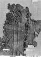 Textile Fragment, Wool, linen; plain weave, tapestry weave