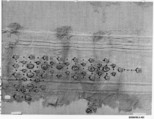 Fragment with Scattered Pattern, Wool, linen; plain weave, tapestry weave