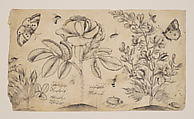Drawing with Flowers, Butterflies, and Insects, Shafi' 'Abbasi (Iranian, Isfahan ca. 1628–ca. 1674), Ink on paper