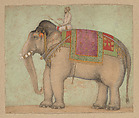 Elephant with Mahout, Opaque color and gold on paper