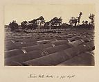 Photo Views Taken in India, S Martin, Calcutta, 1888, Albumen silver prints