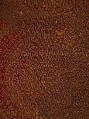 Five Medallion Carpet, Wool (warp, weft, and pile); asymmetrically knotted pile