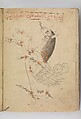 Kitab suwar al-kawakib al-thabita (Book of the Images of the Fixed Stars) of al-Sufi, `Abd al-Rahman al-Sufi (Iranian, Rey 903–986 Shiraz), Ink and gold on paper; leather binding