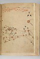 Kitab suwar al-kawakib al-thabita (Book of the Images of the Fixed Stars) of al-Sufi, `Abd al-Rahman al-Sufi (Iranian, Rey 903–986 Shiraz), Ink and gold on paper; leather binding
