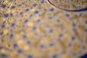Tughra (Insignia) of Sultan Süleiman the Magnificent (r. 1520–66), Ink, opaque watercolor, and gold on paper
