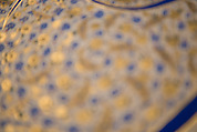 Tughra (Insignia) of Sultan Süleiman the Magnificent (r. 1520–66), Ink, opaque watercolor, and gold on paper