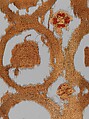 Textile Fragment, Wool, linen; plain weave, weft loop weave
