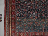 Carpet, Cotton (warp and weft) silk (pile); asymmetrically knotted pile