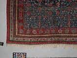 Carpet, Cotton (warp and weft) silk (pile); asymmetrically knotted pile