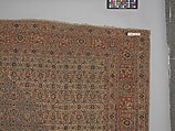 Carpet