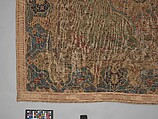 Carpet, Cotton (warp and weft), wool (pile); asymmetrically knotted pile