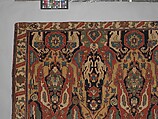 Carpet, Cotton (warp), wool (weft); symmetrically woven pile