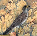 "The Concourse of the Birds", Folio 11r from a Mantiq al-Tayr (Language of the Birds), Painting by Habiballah of Sava (Iranian, active ca. 1590–1610), Ink, opaque watercolor, gold, and silver on paper