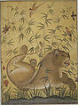 Lion at Rest, Ink, opaque watercolor, silver, and gold on paper