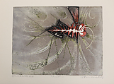 Insect, Krishna Reddy  American, born India, Etching, epreuve d'artiste VI/ X