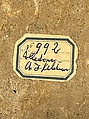 Tile, Artificial paste;  painted and glazed