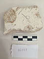 Stucco Fragment, Stucco; carved, painted (?)