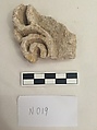 Stucco Fragment, Stucco; carved, painted