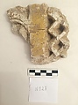 Stucco Fragment, Stucco; carved and painted