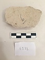 Stucco Fragment, Stucco; carved