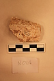 Stucco Fragment, Stucco; carved, painted