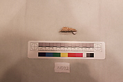 Stucco Fragment, Stucco; carved and painted