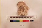 Stucco Fragment, Stucco; carved