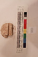 Stucco Fragment, Stucco; carved, painted