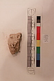 Stucco Fragment, Stucco; carved, painted