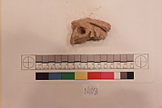 Stucco Fragment, Stucco; carved, painted