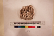 Stucco Fragment, Stucco; carved, painted