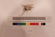 Stucco Fragment, Stucco; carved