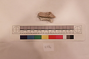 Stucco Fragment, Stucco; carved