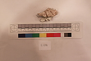 Stucco Fragment, Stucco; carved, painted (?)