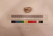 Stucco Fragment, Stucco; carved