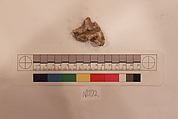 Stucco Fragment, Stucco; carved