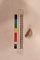 Stucco Fragment, Stucco; carved