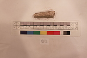 Stucco Fragment, Stucco; carved