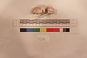 Stucco Fragment, Stucco; carved