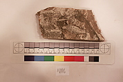 Stucco Fragment, Gypsum; carved