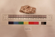 Stucco Fragment, Stucco; carved, painted