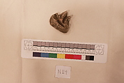 Stucco Fragment, Stucco; carved and painted