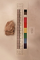 Stucco Fragment, Stucco; carved, painted (?)