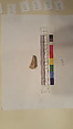 Stucco Fragment, Stucco; carved, painted?