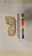 Stucco Fragment, Stucco; carved, painted?