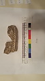 Stucco Fragment, Stucco; carved, painted?