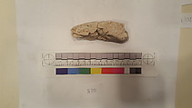 Stucco Fragment, Stucco; carved, painted