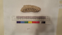 Stucco Fragment, Stucco; carved, painted
