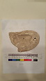 Stucco Fragment, Gypsum; carved
