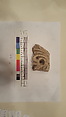 Stucco Fragment, Stucco; carved